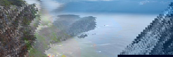 Tasmanian Walking Company