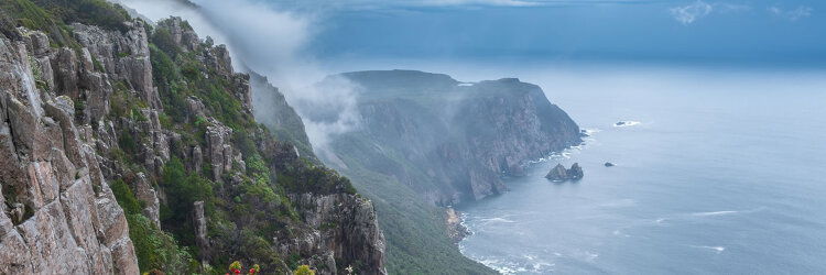 Tasmanian Walking Company