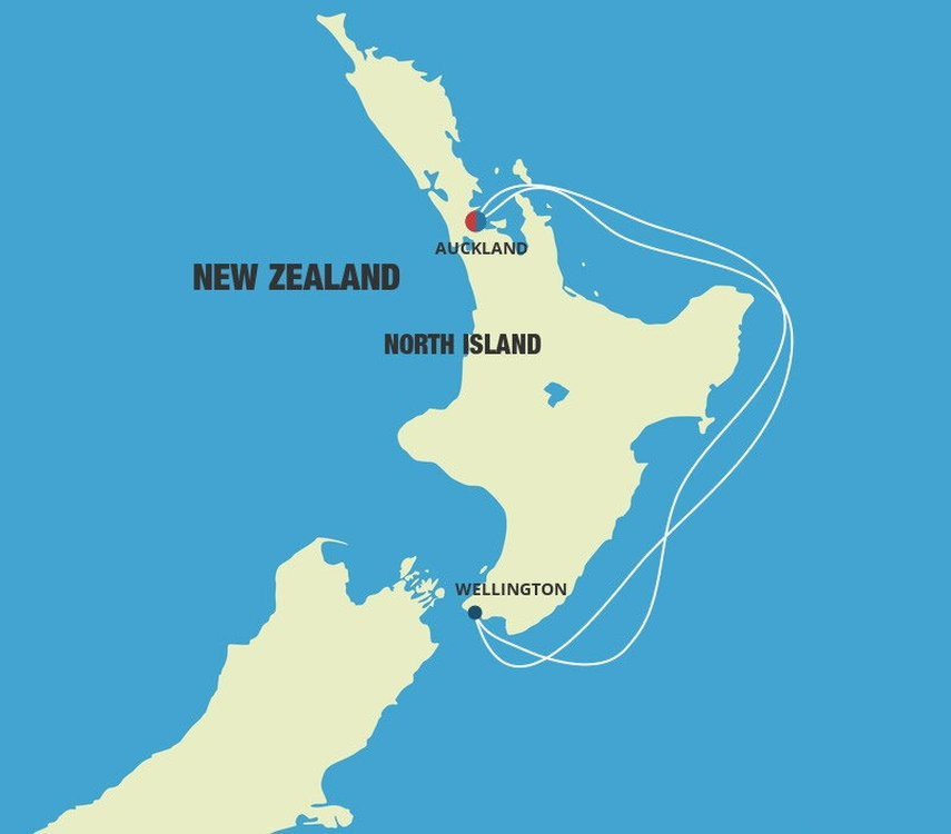 cruise from auckland to wellington