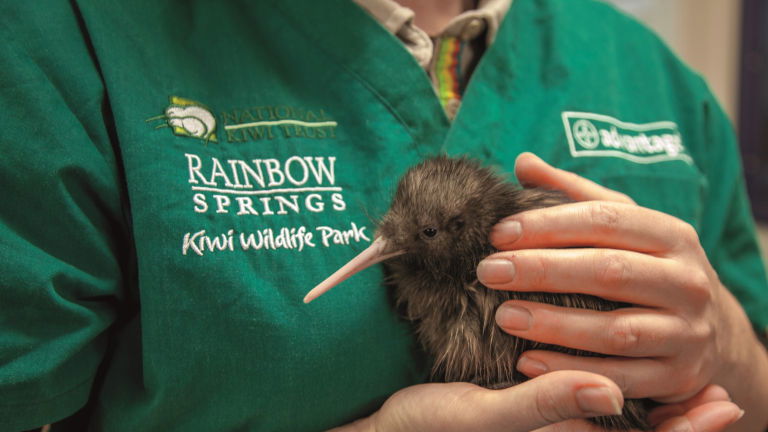 Preserving the Pristine