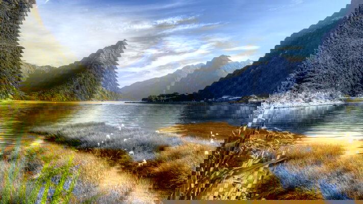 A Stress-Free Holiday!