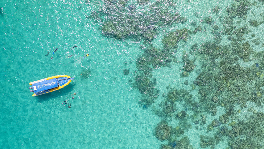 Cairns to Sydney Highlights