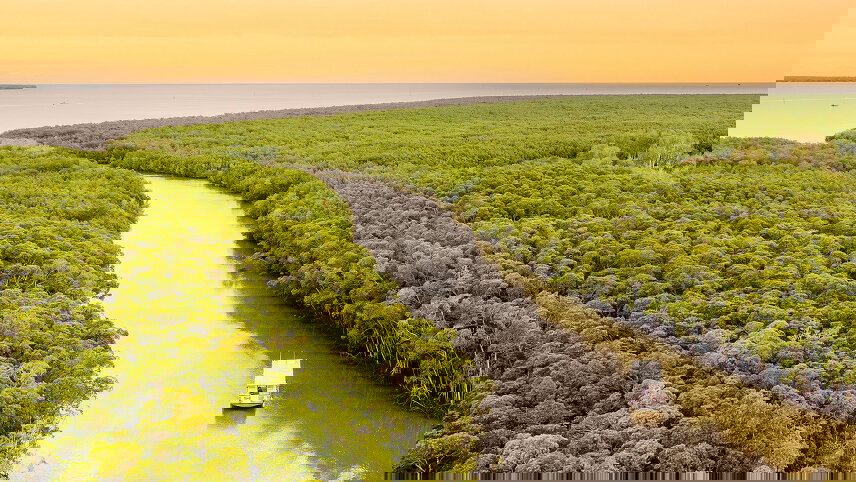 Aboriginal Culture & Australian Highlights