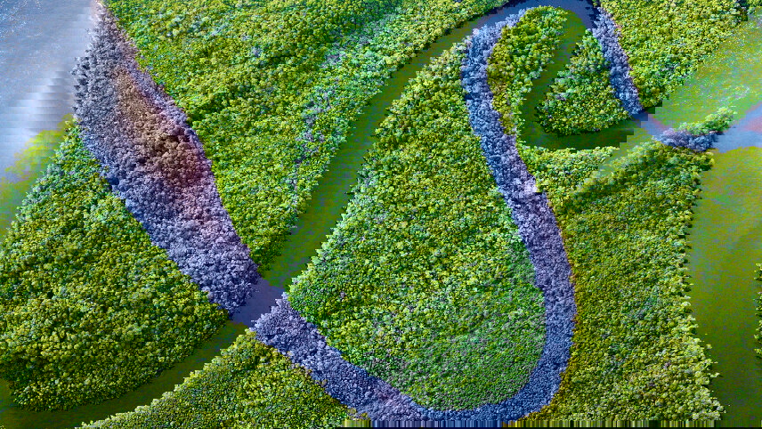 Cape Tribulation and Cooktown Wanderer