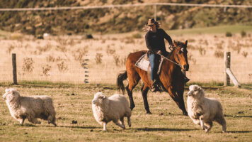 5 Day New Zealand South Island Splendour (AAT Kings)