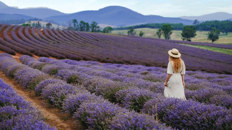 Tassie's East Coast Highlights