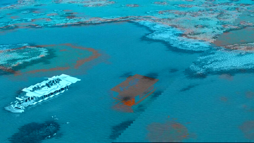 Highlights of Australia & New Zealand