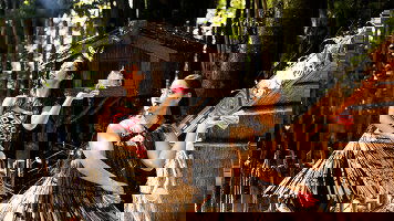 10 Day Contrasts of New Zealand (AAT Kings)