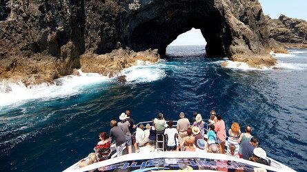 17 Day New Zealand Magic (AAT Kings)