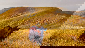 14 Day New Zealand Marvel (AAT Kings)