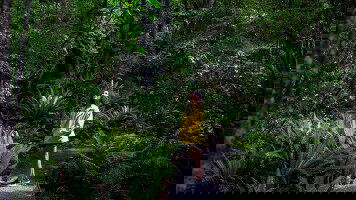 18 Day Essence of New Zealand (AAT Kings)