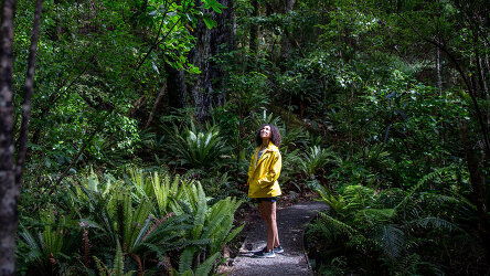 18 Day Essence of New Zealand (AAT Kings)