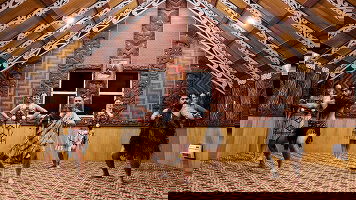 10 Day New Zealand's Northern Gems (AAT Kings)