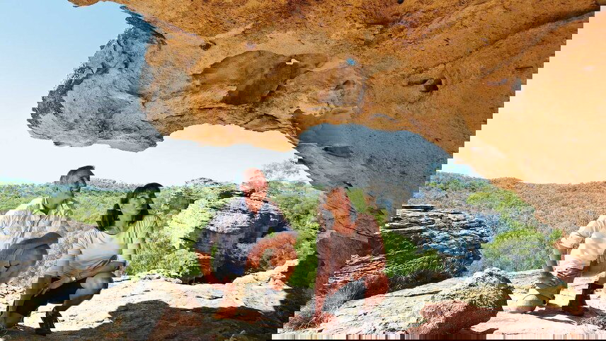 Gulf Savannah Wanderer