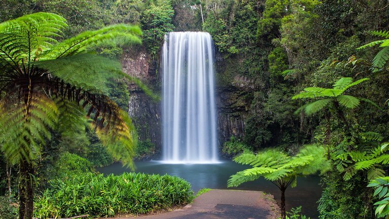 East Coast Islands and Rainforest