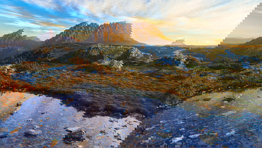 Tasmania's Wild Wonders