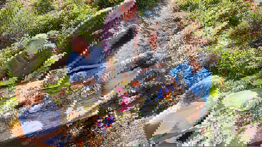 Tasmania's Wild Wonders