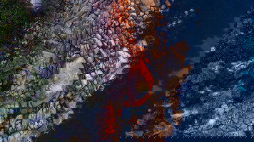 6 Day Tasmania & Flinders Island Explorer (AAT Kings)