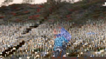 4 Day Red Centre Highlights (Budget) (AAT Kings)