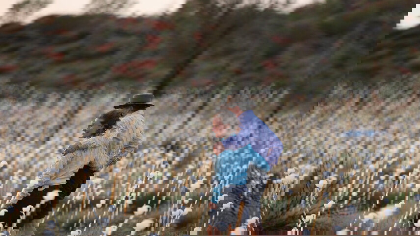 Red Centre Highlights (Standard)