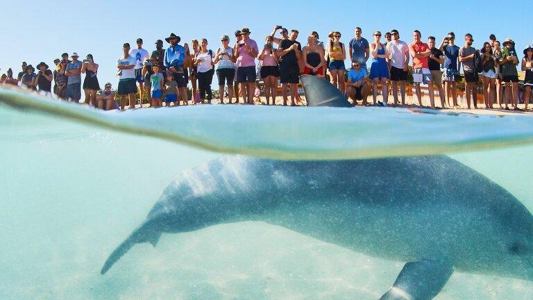 Untamed Pilbara & West Coast