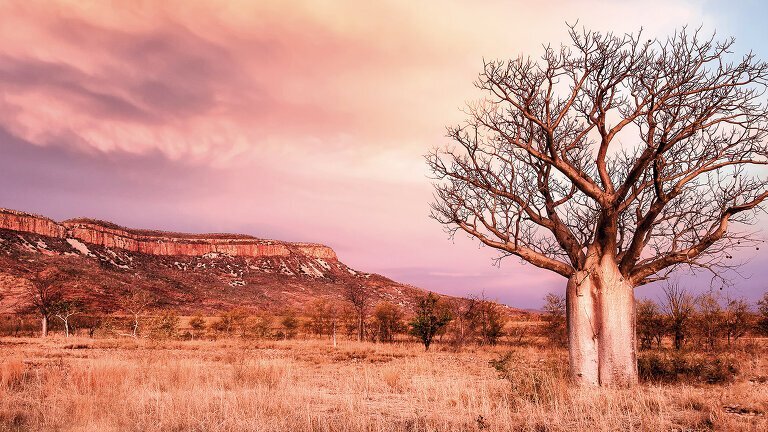 Wonders of the West Coast & Kimberley