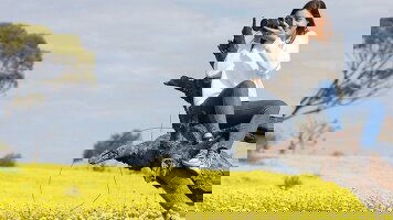 7 Day Wildflower Wanderer (AAT Kings)