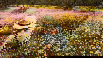 13 Day Wonders of the Pilbara & West Coast (AAT Kings)