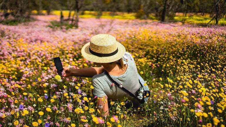 Wonders of the Pilbara & West Coast