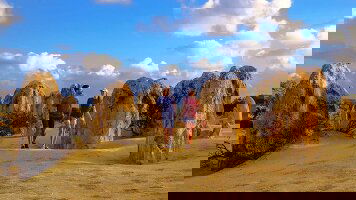 6 Day Monkey Mia Dolphins & West Coast (AAT Kings)