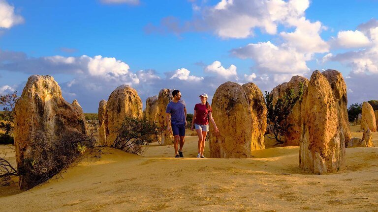 Monkey Mia Dolphins & West Coast