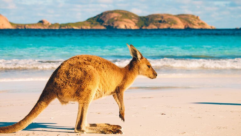 South Western Escape