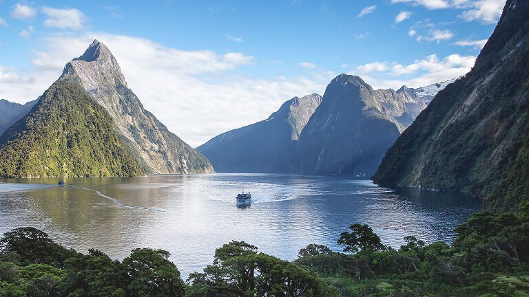 New Zealand Uncovered