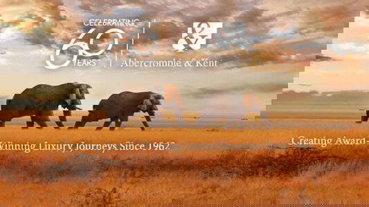 60 Years Of Inspiring Travel Experiences