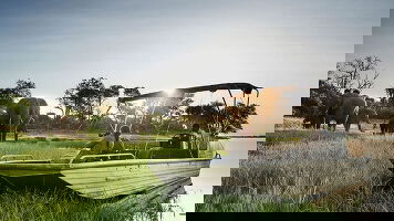 Privileged Access to Unforgettable Places