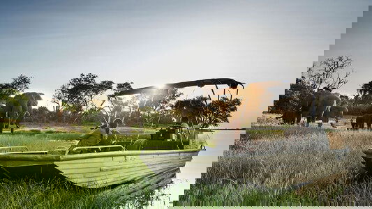 A&K Africa Tours & Safaris