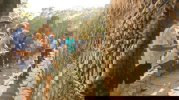 Immersive & Intimate