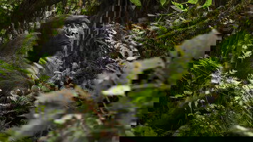 A Journey for Every Traveller