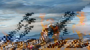 Marco Polo Small Group Journeys