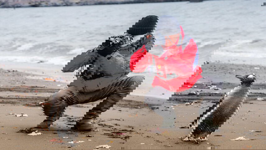 Antarctic Cruise Adventure