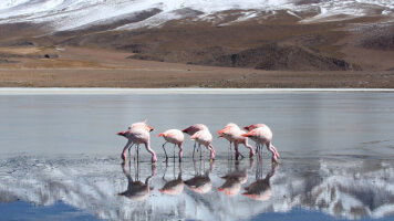 12 Day Argentina, Chile & Brazil by Private Jet (Abercrombie & Kent)