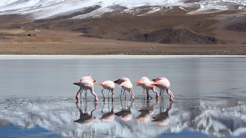 Argentina, Chile & Brazil by Private Jet