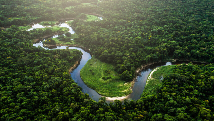 Brazil Wildlife Adventure: the Amazon & Pantanal
