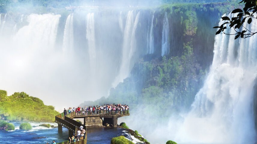 Brazil: Wildlife of the Amazon, Pantanal & Iguazu Falls