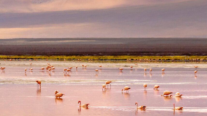 Chile & Bolivia: Atacama to Uyuni Salt Flats