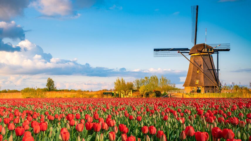 Cruising Holland & Belgium in Bloom – A Luxury Small Group Journey (2025)