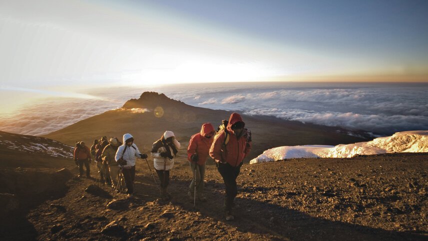 Climb Kilimanjaro: Summiting the Machame Route