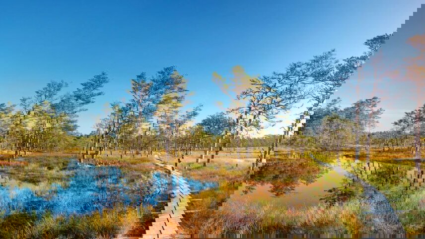 Cruising Scandinavia & the Baltic Sea