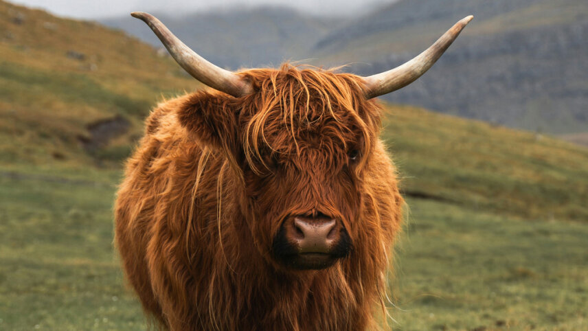 Exploring the Wild Coasts of the British Isles