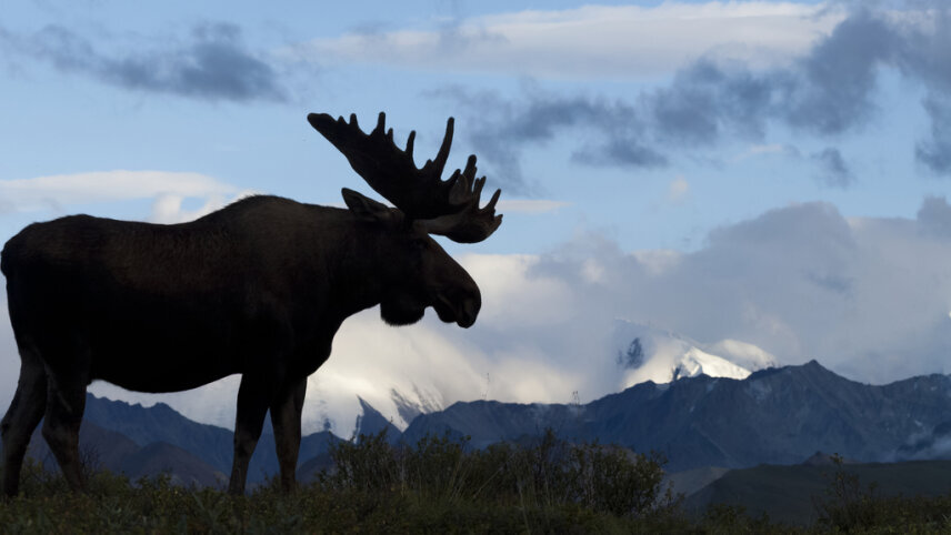 Family Adventure in Alaska